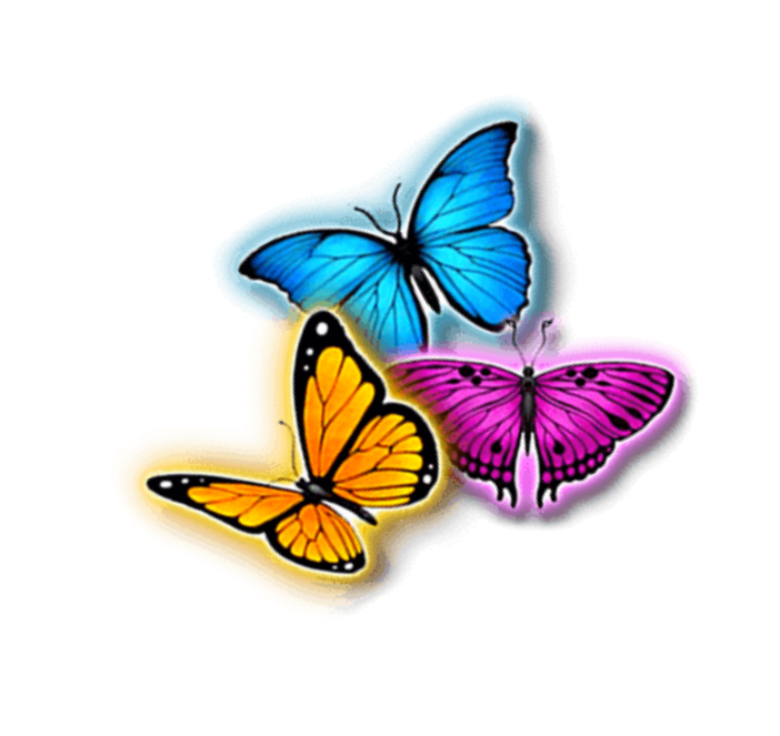 C:\Users\пк\Downloads\kisspng-monarch-butterfly-insect-nymphalidae-pollinator-butterfly-machine-5adaae19bdb5e5.8271806415242808577771.png